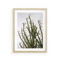 Plakat w ramie 30x40 - Ekskluzywna Roślinność - kaktusy, liście - rama drewno