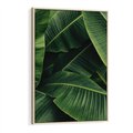 Obraz w ramie 80x120 - Zaklęta roślinna ekspresja - liście bananowca, gęsto ułożone - rama drewno