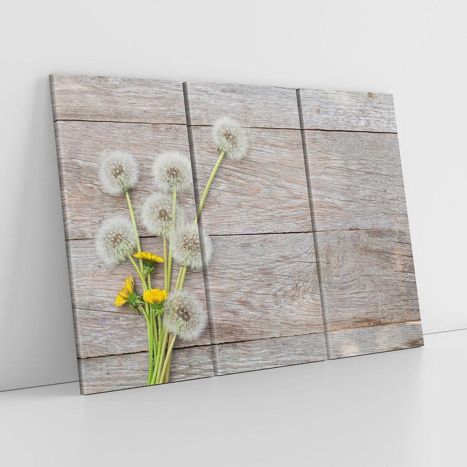 Obraz na płótnie 120x80 - Delikatne dmuchawce w otoczeniu natury - dmuchawce, natura