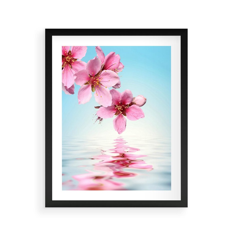 Plakat w ramie 40x50 - Magia kwitnącej wiśni - kwitnąca, wiśnia - rama czarna