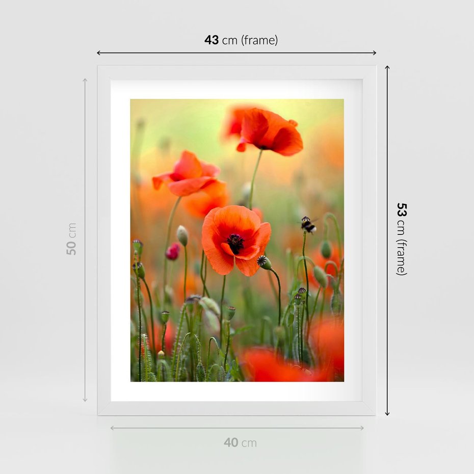 Plakat w ramie 40x50 - Makowa Pasja - maki, kwiaty - rama biała