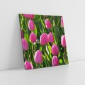 Obraz na płótnie 60x60 - Tulipanowa harmonia - tulipany, kwiaty