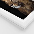 Plakat w ramie 30x40 - Władca Dzikiej Przyrody - lew, król - rama biała