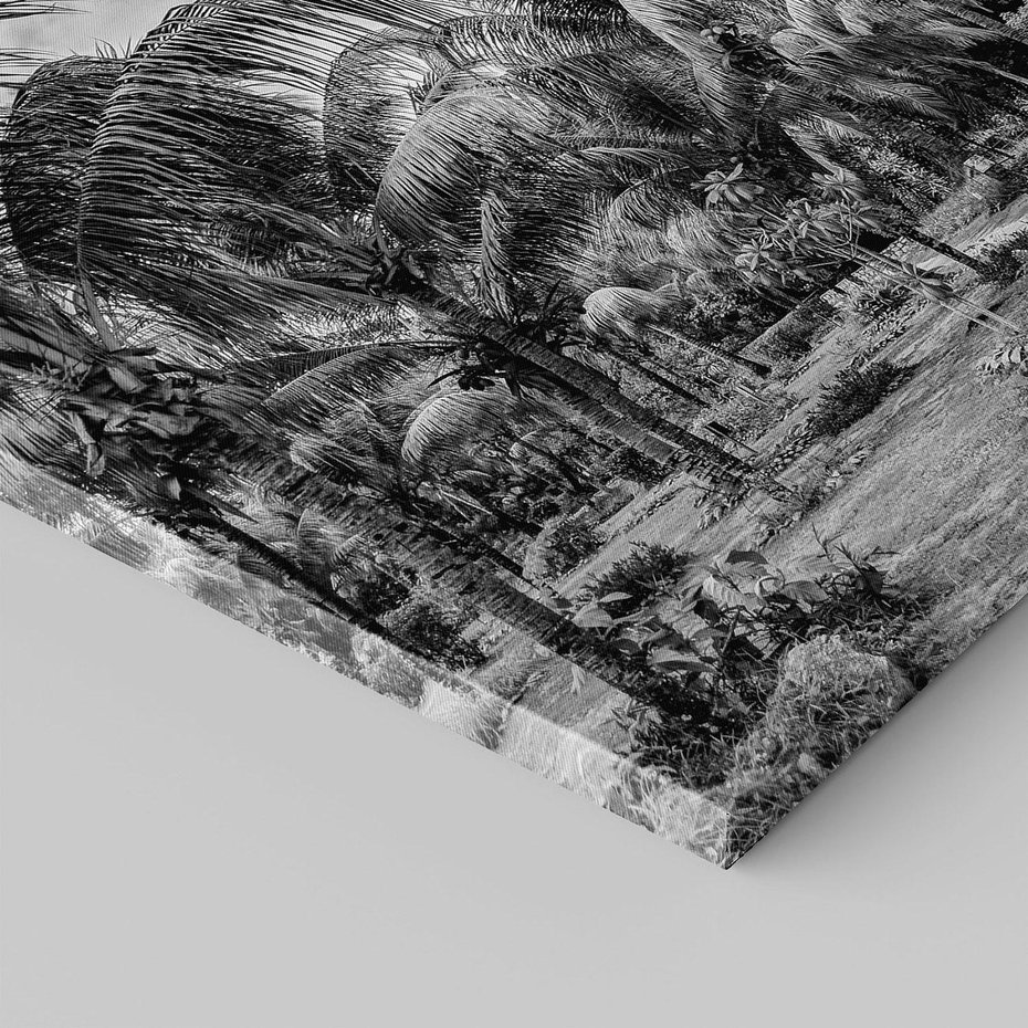 Obraz na płótnie 30x30 - Mroczna Ścieżka Tropików - czarno biała fotografia, ścieżka pośród palm