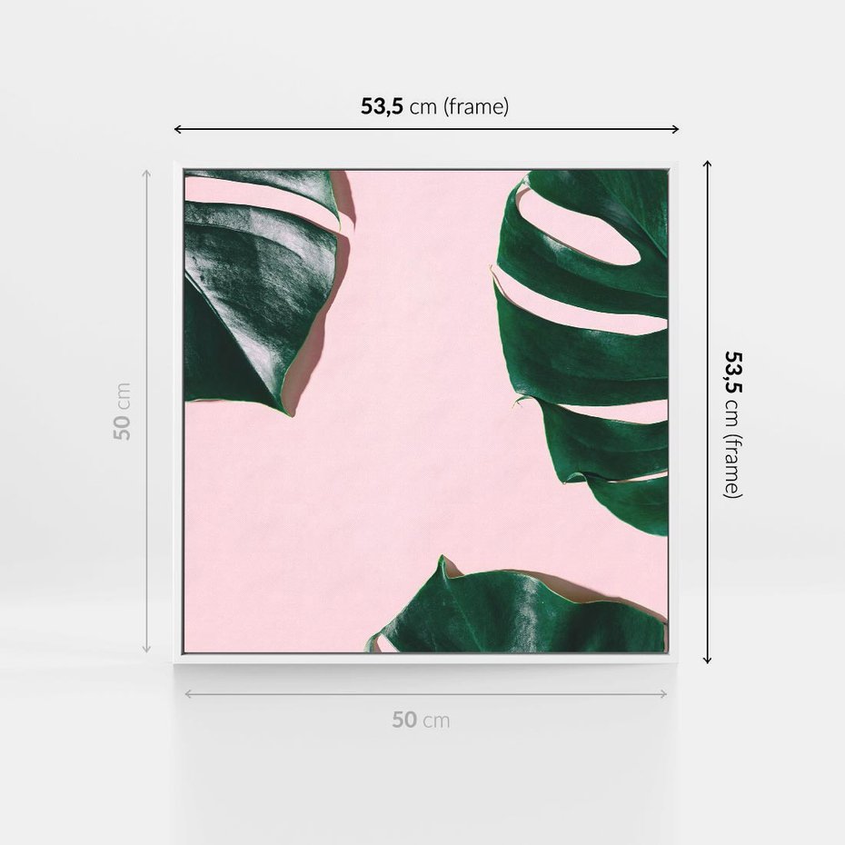Obraz w ramie 50x50 - Siła Natury - liście, monstera - rama biała