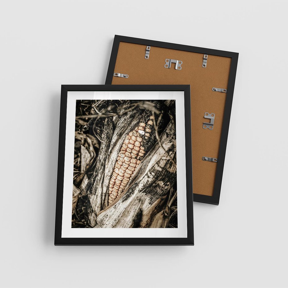 Plakat w ramie 40x50 - Kukurydza w Jesiennej Scenie - kukurydza, jesień - rama czarna