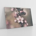 Obraz na płótnie 120x80 - Przemijający Urok - kwitnąca, wiśnia