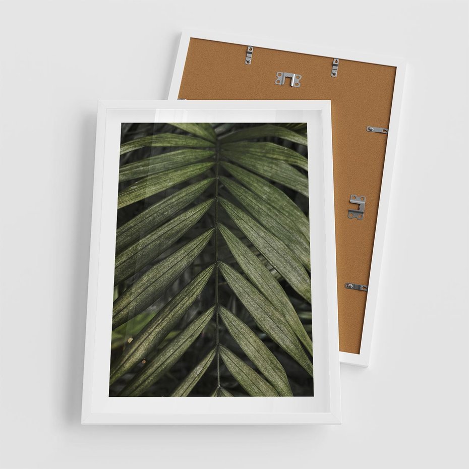 Plakat w ramie 50x70 - W Liściach Ukryte - zdjęcie, fotografia - rama biała