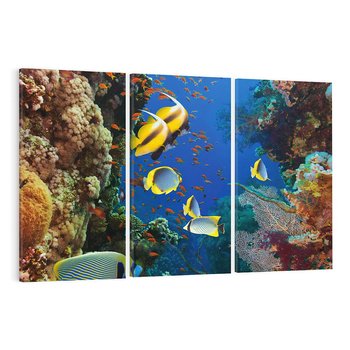 Obraz na płótnie 120x80 - Podwodne królestwo rafy koralowej - rafa, koralowa