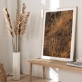 Plakat w ramie 50x70 - Szlachetna Suchość Traw - trawy, suche trawy - rama drewno