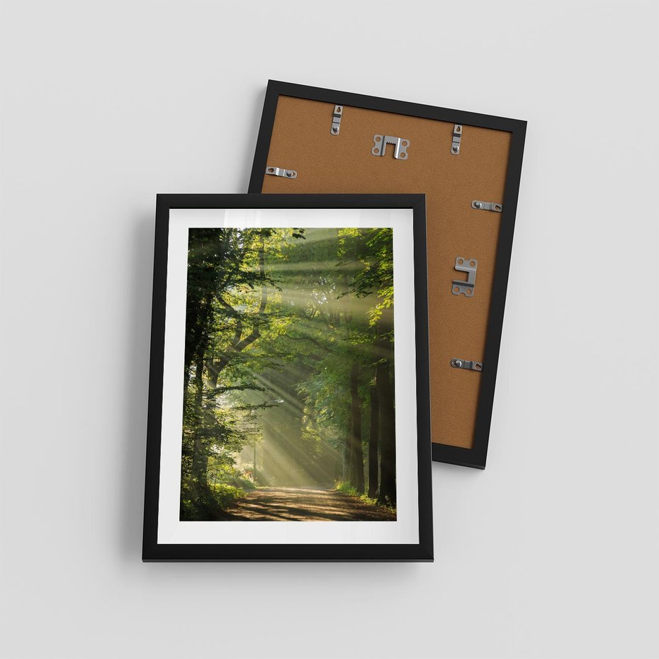 Plakat w ramie 30x40 - harmonia natury - las, drzewa - rama czarna