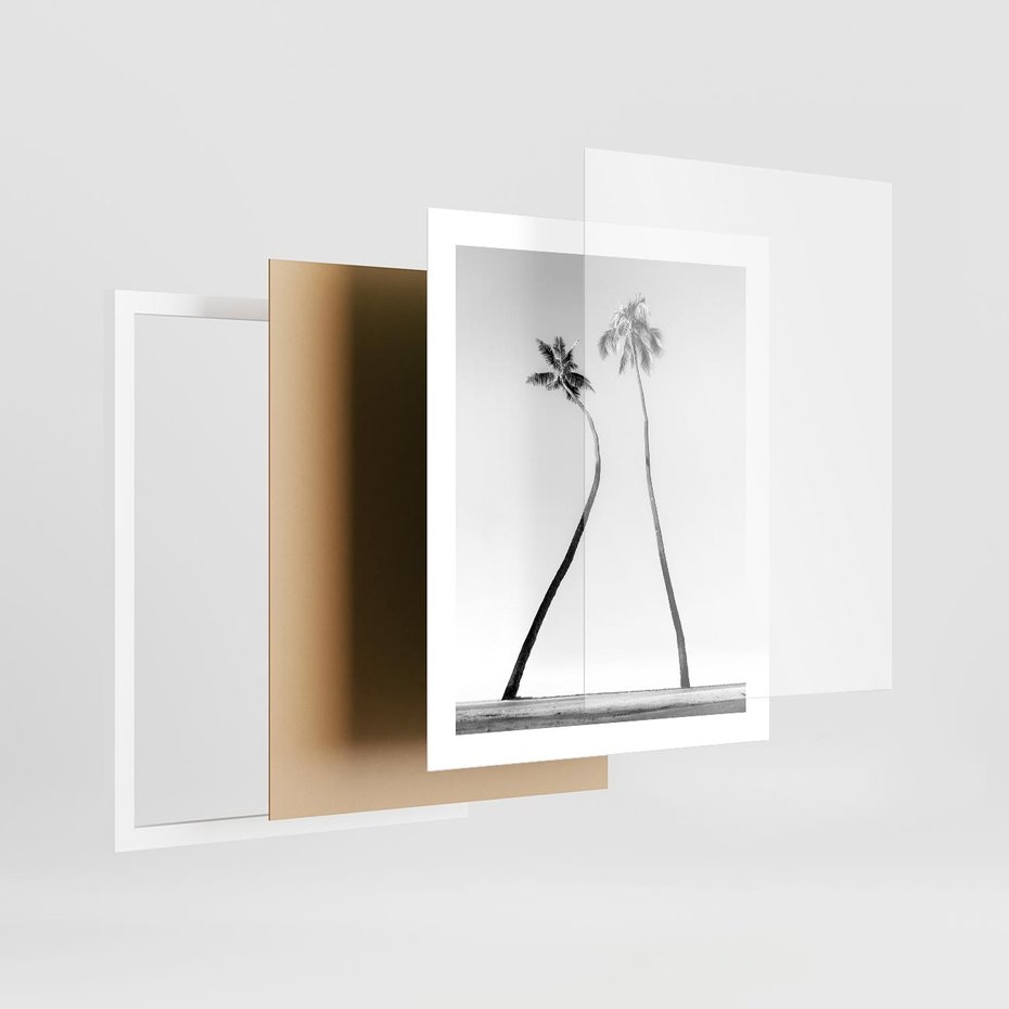 Plakat w ramie 40x50 - Samotne Palmy - czarno biała fotografia, dwie samotne palmy - rama biała