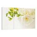 Obraz na płótnie 120x80 - Subtelność białych frezji - frezja, białe