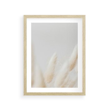 Plakat w ramie 30x40 - Biały Spokój - białe trawy, suche trawy pampas - rama drewno