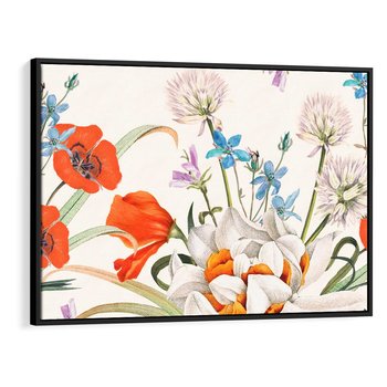 Obraz w ramie 70x50 - Polne Kwiaty - polne kwiaty, na białym tle - rama czarna