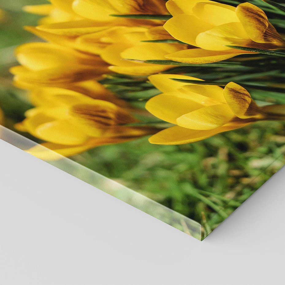 Obraz na płótnie 120x80 - Kwiatowe uniesienia natury - kwiat, kwiaty