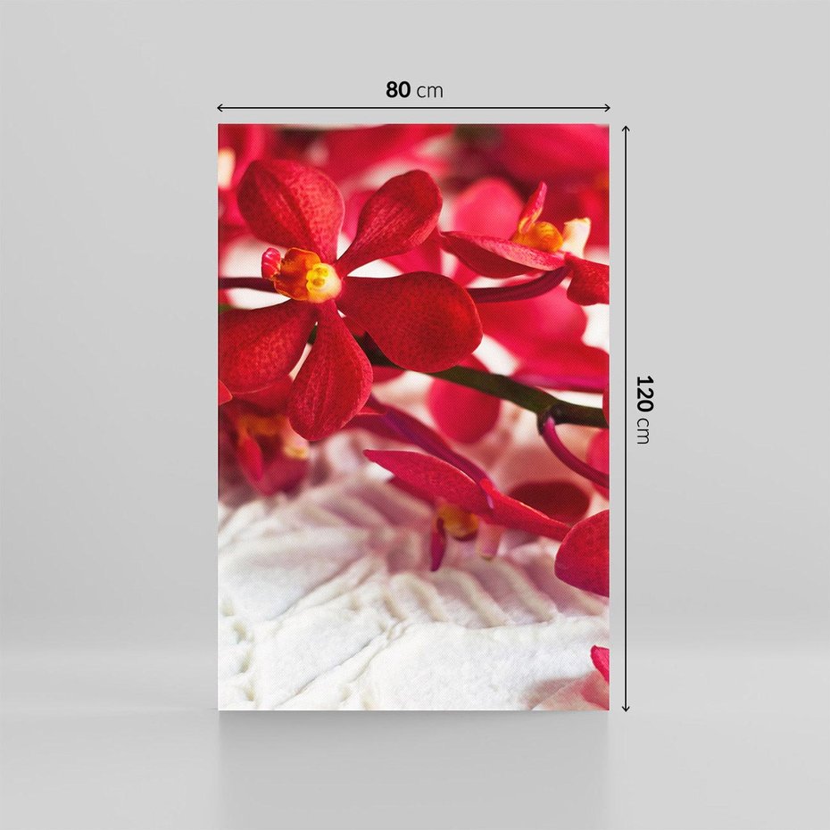 Obraz na płótnie 80x120 - Delikatność Kwiatowej Elegancji - orchidea, kwiat