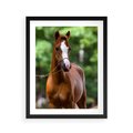 Plakat w ramie 40x50 - Portret Szlachetnego Konia - koń, portret - rama czarna