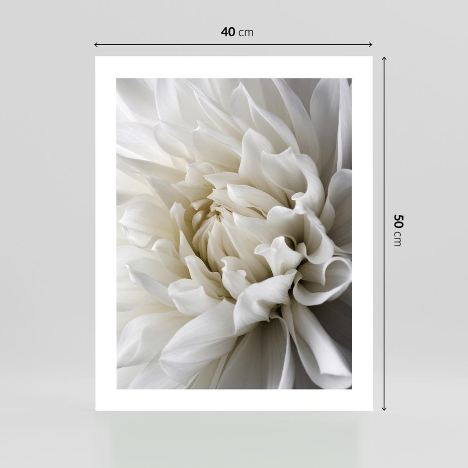 Plakat bez ramy 40x50 - Białe Kwiaty Delikatności - białe, kwiaty