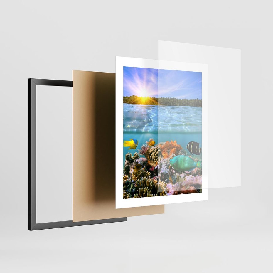 Plakat w ramie 40x50 - Rafa Koralowa - Podwodne Cuda - rafa, koralowa - rama czarna