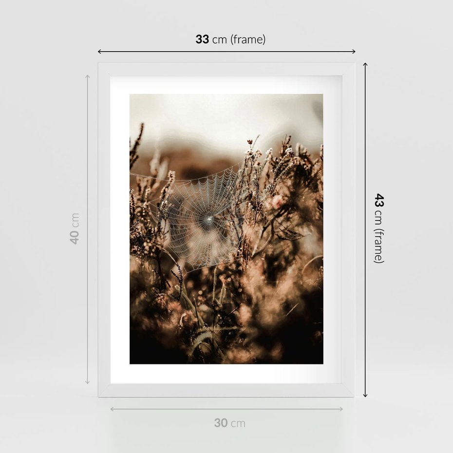Plakat w ramie 30x40 - Jesienny Mikrokosmos - suchetrawy, jesienny klimat - rama biała