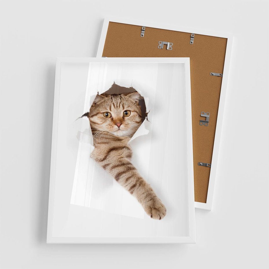 Plakat w ramie 50x70 - Kot w Dziurze - kot, dziura - rama biała