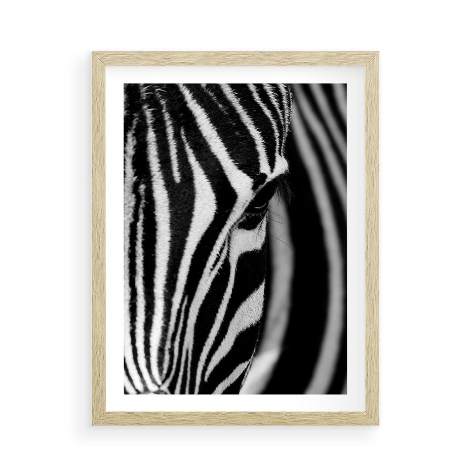 Plakat w ramie 50x70 - Pasy Zebr - zebra, paski - rama drewno
