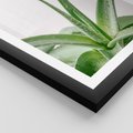 Plakat w ramie 30x40 - Zielone Piękno - aloes, liście - rama czarna