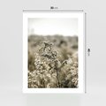 Plakat bez ramy 30x40 - Pampas i Bocho - suche trawy, bocho