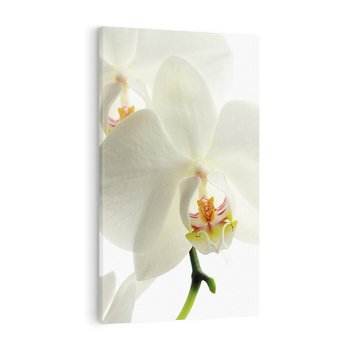 Obraz na płótnie 70x100 - Kwiatowe piękno - kwiat, kwiaty