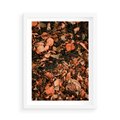 Plakat w ramie 50x70 - Jesienny Splot: Pomarańczowe Liście - liście, pomarańczowe suche liście - rama biała