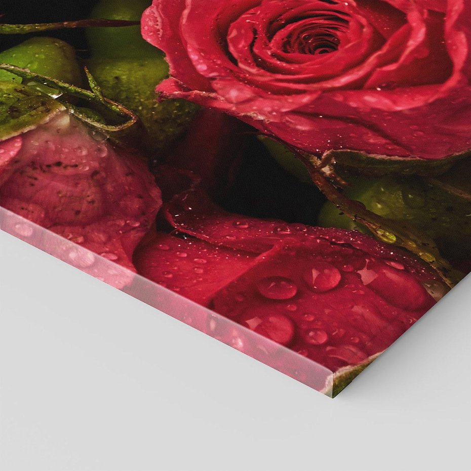 Obraz na płótnie 70x100 - Piękno róż: delikatność natury - róże, kwiaty