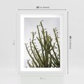 Plakat w ramie 30x40 - Ekskluzywna Roślinność - kaktusy, liście - rama biała