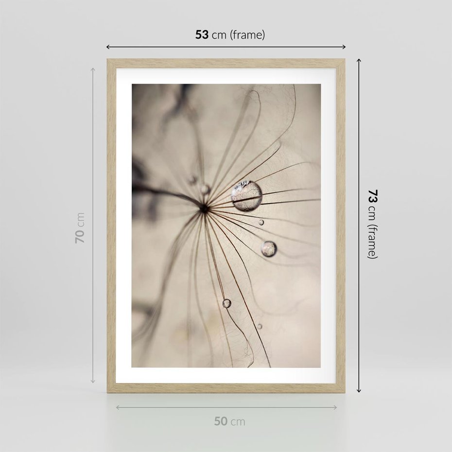 Plakat w ramie 50x70 - Makro Uroda: Kropla na Dmuchawcu - zbliżenie makro, kropla wody na ziarenku dmuchawca - rama drewno