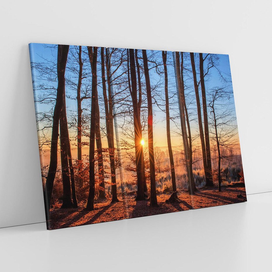 Obraz na płótnie 120x80 - Zachód słońca w jesiennym lesie - zachód słońca,
