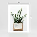 Plakat bez ramy 30x40 - Eukaliptusowa harmonia - eukaliptus, liście
