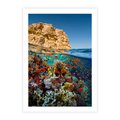 Plakat bez ramy 40x50 - Rafa koralowa w oceanie - rafa, koralowa