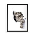 Plakat w ramie 50x70 - Tajemniczy kot i jego świat - kot, dziura - rama czarna