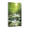 Obraz na płótnie 80x120 - Ukojenie strumienia: Spotkanie z naturą - strumyk, las