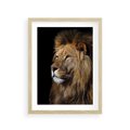 Plakat w ramie 30x40 - Władca Dzikiej Przyrody - lew, król - rama drewno