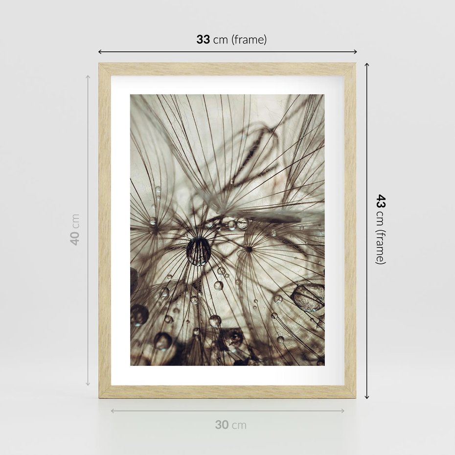 Plakat w ramie 30x40 - Lekkie dmuchawce - dmuchawce, krople - rama drewno