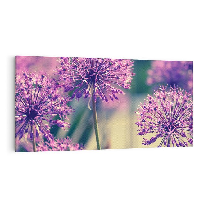 Obraz na płótnie 100x50 - Kwiatowa łąka w pełnym rozkwicie - kwiaty, łąka