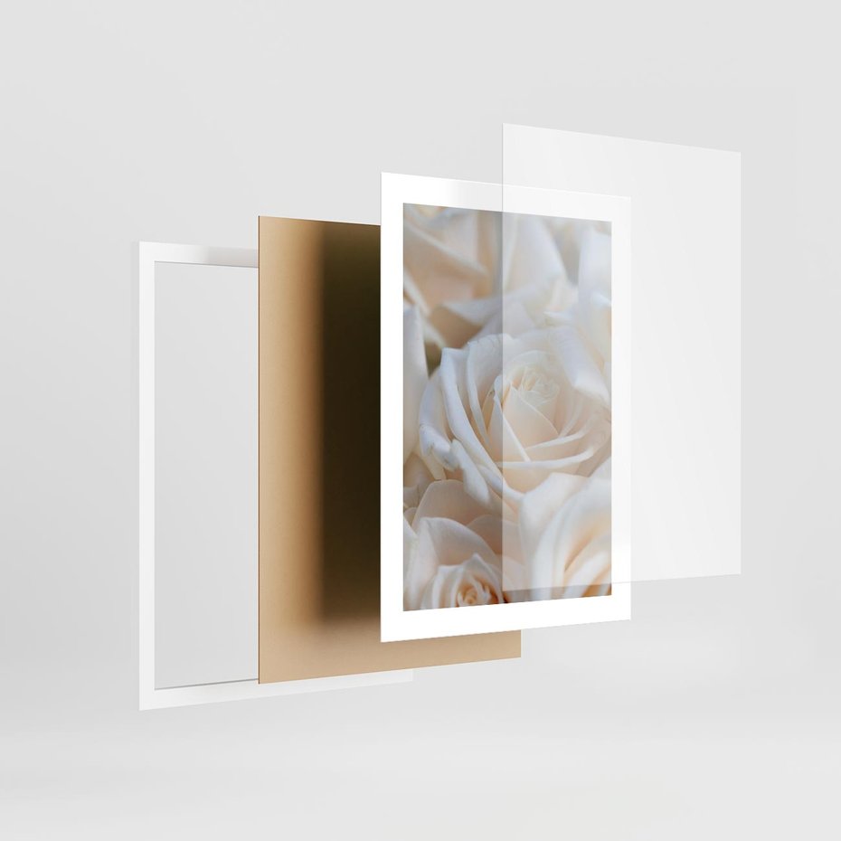Plakat w ramie 30x40 - Białe róże piękności - białe, róże - rama biała