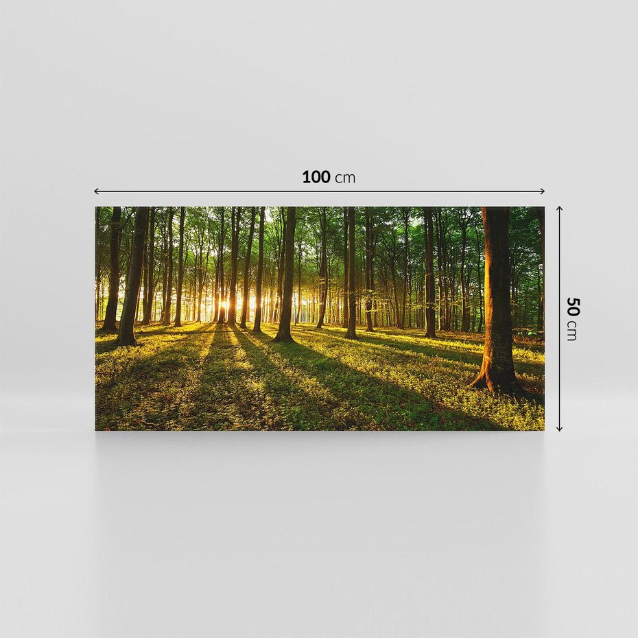Obraz na płótnie 100x50 - Mistyfikujący urok leśnej głuszy - las, drzewa