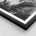 Plakat w ramie 50x70 - Palmy w Monochromii - palmy, tropikalne palmy - rama czarna