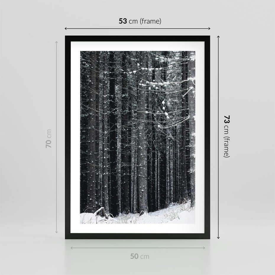 Plakat w ramie 50x70 - Leśna Cisza: Malowniczy Pejzaż Zimą - las zimą, ośnieżone pnie drzew - rama czarna