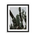 Plakat w ramie 40x50 - Boho oaza wśród kaktusów - kaktusy, pustynia - rama czarna