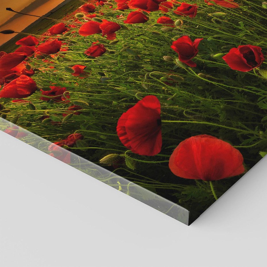 Obraz na płótnie 120x80 - Maki na łące: Przebudzenie wiosny - mak, maki