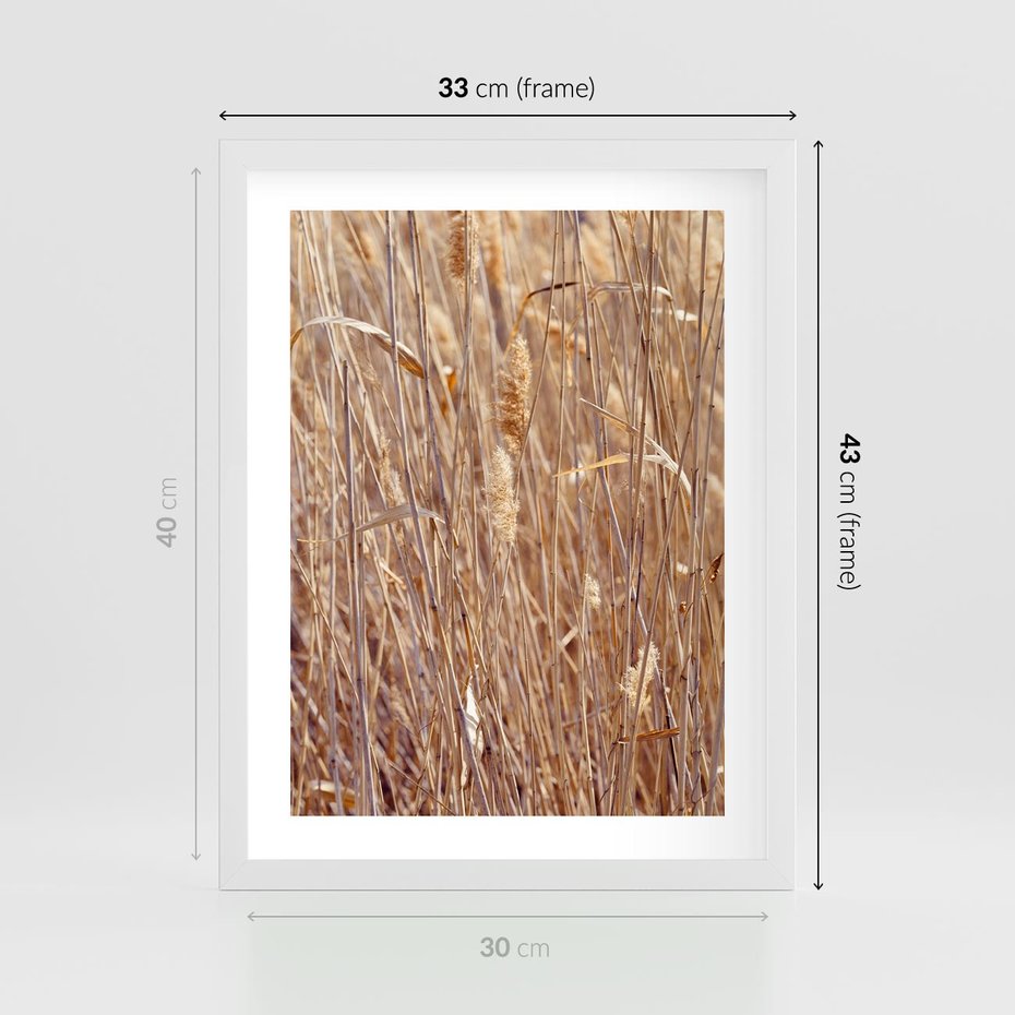Plakat w ramie 30x40 - Mistrzowskie suche trawy - suche, trawy - rama biała