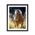 Plakat w ramie 40x50 - Spotkanie konia na łące - koń, łąka - rama czarna